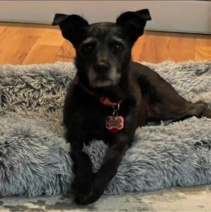 Meet your Posher, Cathy